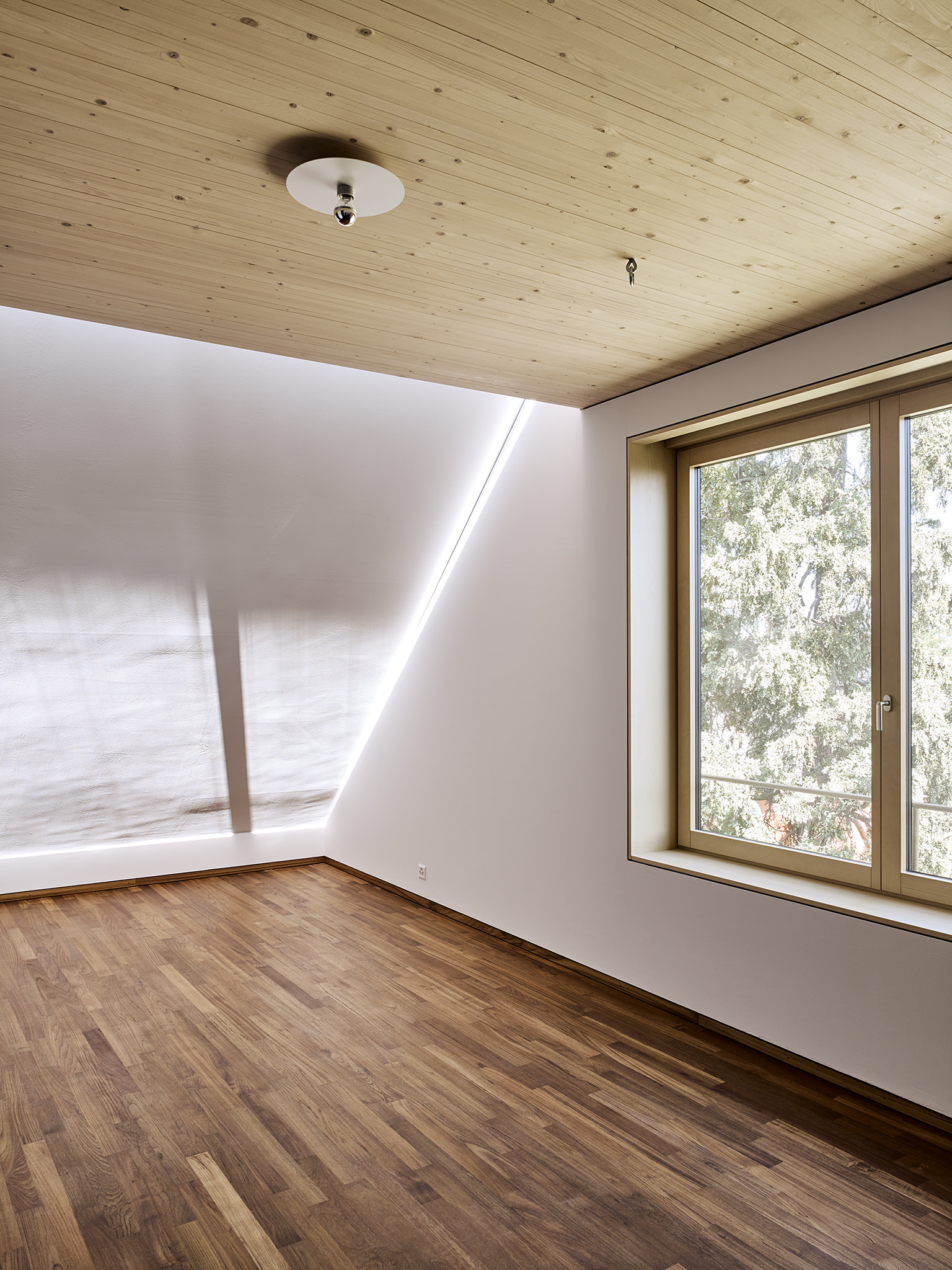 E16604 Alpa 058657 SCREEN